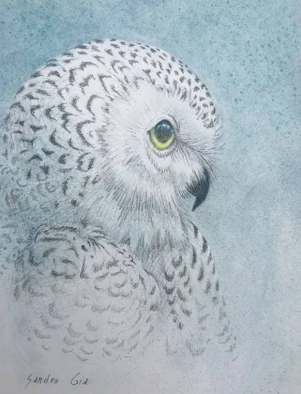 Snowy Owl Beak White Camouflage Art Painting Animal Environmental Acrylic Paper