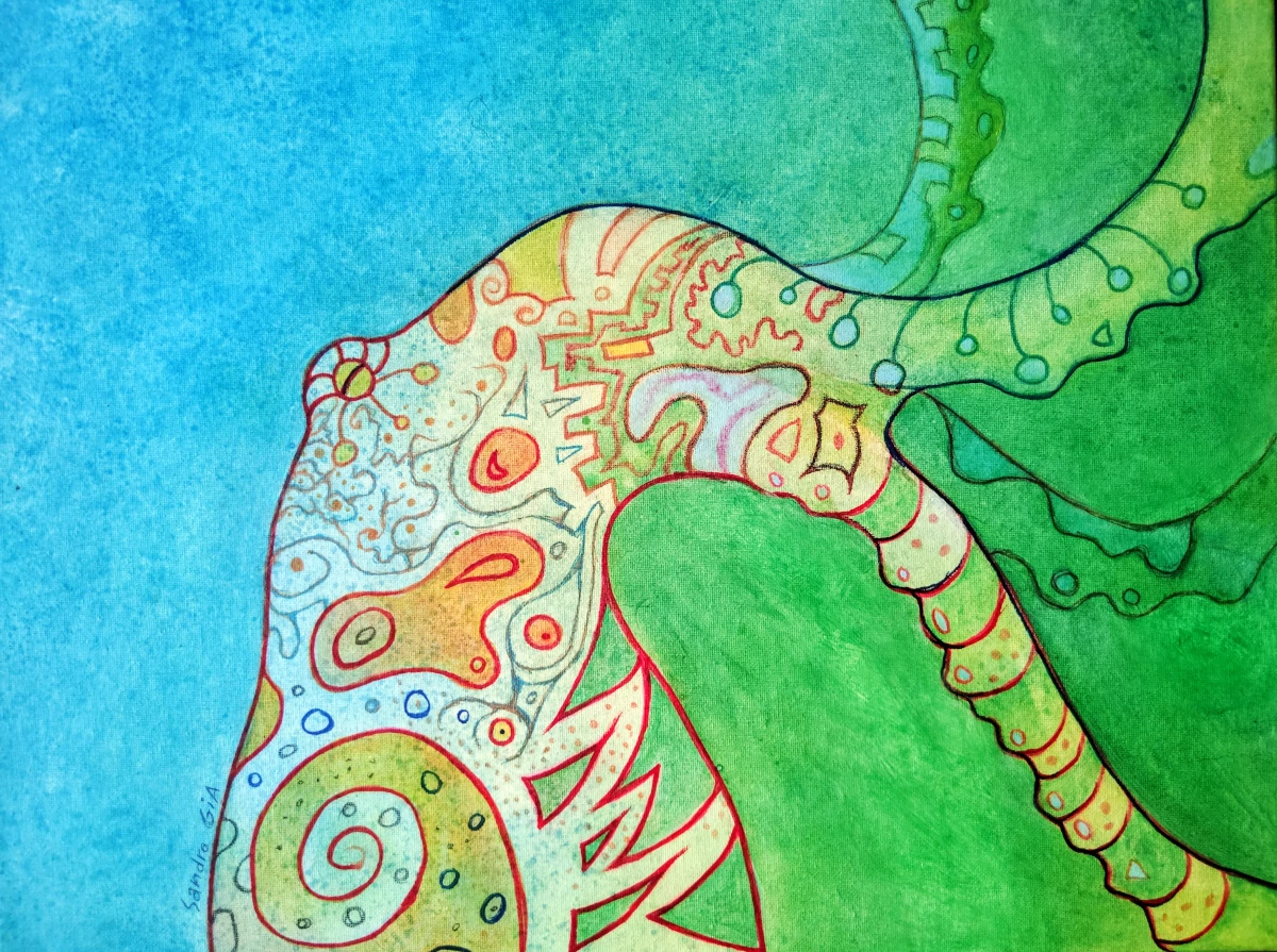 squid humbold art painting octopus