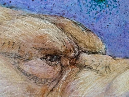 Grizzly Bear Roar Eyes Colors Surreal