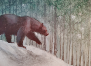 Bear Forest Tress Snow Walk