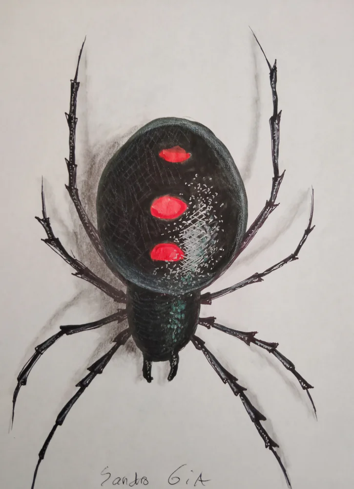 Black Widow Spider Art