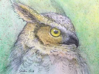 Great Horned Owl Portrait - Original Art