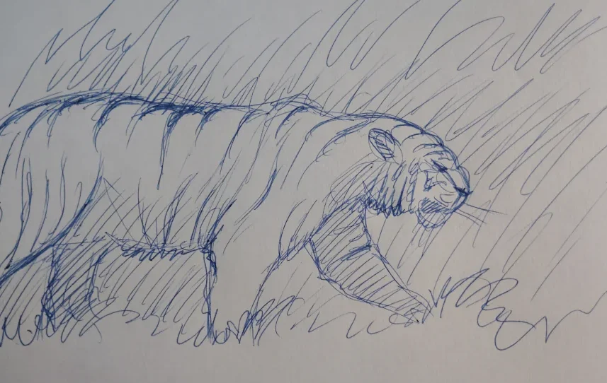 Tiger Drawing Pen Paper Hunt