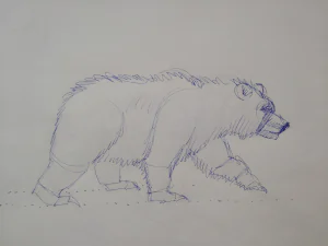 Rough Sketch bear walking - pen on paper
